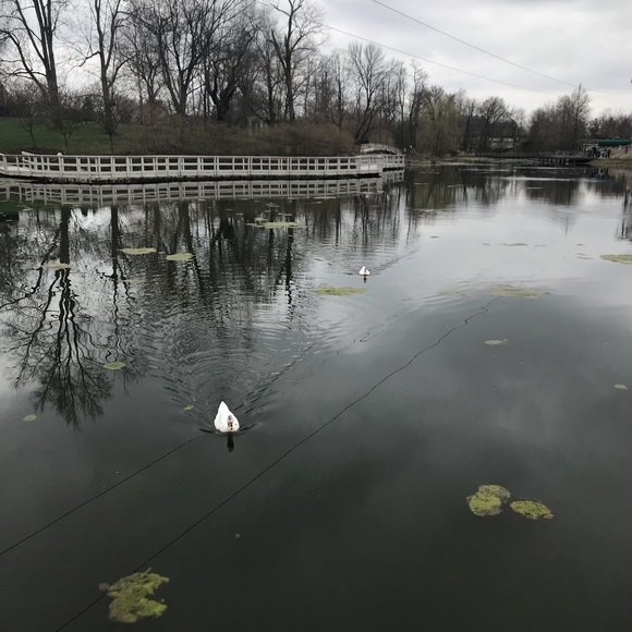 Meet your Posher, Jessie - Picture 1 of 1